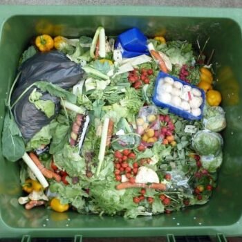 Food Waste in US Hits Record Levels as Experts Urge Smarter Kitchen Habits