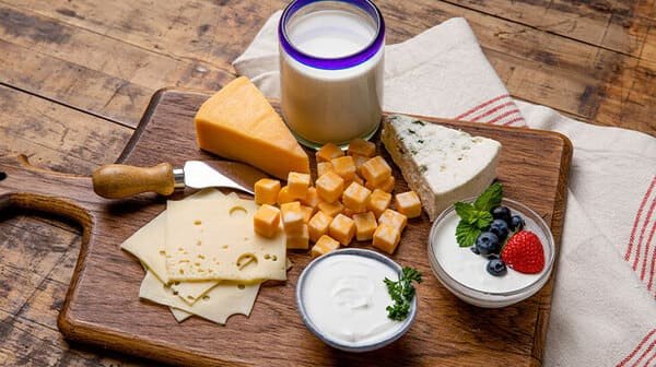 high fat dairy cheese